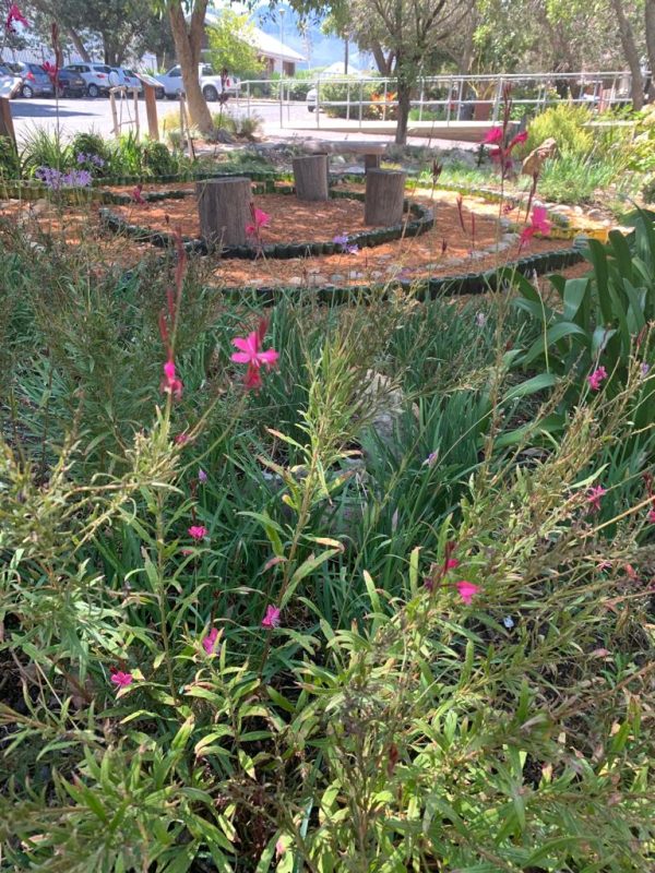 Good Hope Garden of Healing at Good Hope Psychological Service (GHPS)